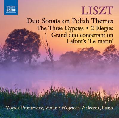Liszt Works for Violin & Piano
